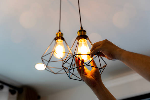 Best Outdoor Lighting Installation  in Onalaska, WI